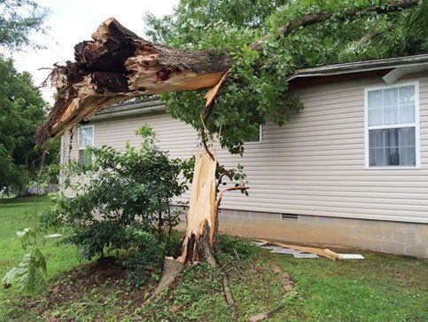 Property Damage Repairs